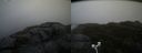 ./images/calvert/buxton2/20181121/buxton220181121_111004M.jpg