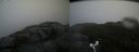 ./images/calvert/buxton2/20181121/buxton220181121_131504M.jpg