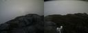 ./images/calvert/buxton2/20181121/buxton220181121_142504M.jpg
