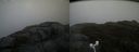 ./images/calvert/buxton2/20181121/buxton220181121_145004M.jpg