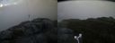 ./images/calvert/buxton2/20181121/buxton220181121_152504M.jpg