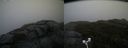 ./images/calvert/buxton2/20181209/buxton220181209_133503M.jpg