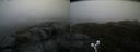 ./images/calvert/buxton2/20190119/buxton220190119_110001M.jpg
