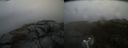 ./images/calvert/buxton2/20190125/buxton220190125_120001M.jpg