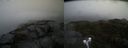 ./images/calvert/buxton2/20190131/buxton220190131_114501M.jpg