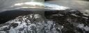 ./images/calvert/buxton2/20190202/buxton220190202_153501M.jpg