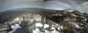 ./images/calvert/buxton2/20190213/buxton220190213_152920M.jpg