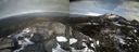 ./images/calvert/buxton2/20190214/buxton220190214_152917M.jpg