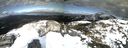 ./images/calvert/buxton2/20190308/buxton220190308_154959M.jpg