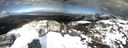 ./images/calvert/buxton2/20190308/buxton220190308_155459M.jpg