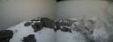 ./images/calvert/buxton2/20190311/buxton220190311_152959M.jpg