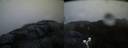 ./images/calvert/buxton2/20190326/buxton220190326_071457M.jpg