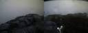 ./images/calvert/buxton2/20190326/buxton220190326_071957M.jpg