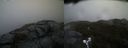 ./images/calvert/buxton2/20190326/buxton220190326_082458M.jpg