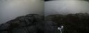 ./images/calvert/buxton2/20190326/buxton220190326_092958M.jpg