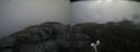 ./images/calvert/buxton2/20190326/buxton220190326_094959M.jpg