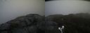 ./images/calvert/buxton2/20190326/buxton220190326_100458M.jpg