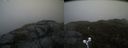 ./images/calvert/buxton2/20190326/buxton220190326_101458M.jpg