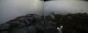 ./images/calvert/buxton2/20190326/buxton220190326_103458M.jpg