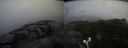 ./images/calvert/buxton2/20190326/buxton220190326_103958M.jpg