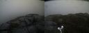 ./images/calvert/buxton2/20190326/buxton220190326_104459M.jpg