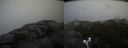 ./images/calvert/buxton2/20190326/buxton220190326_114958M.jpg