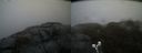 ./images/calvert/buxton2/20190326/buxton220190326_115959M.jpg