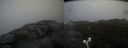 ./images/calvert/buxton2/20190326/buxton220190326_124959M.jpg