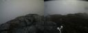 ./images/calvert/buxton2/20190326/buxton220190326_125959M.jpg