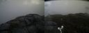 ./images/calvert/buxton2/20190326/buxton220190326_130458M.jpg