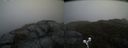 ./images/calvert/buxton2/20190405/buxton220190405_154458M.jpg