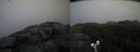 ./images/calvert/buxton2/20190405/buxton220190405_155958M.jpg