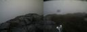 ./images/calvert/buxton2/20190405/buxton220190405_161957M.jpg