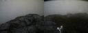 ./images/calvert/buxton2/20190405/buxton220190405_162458M.jpg