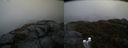 ./images/calvert/buxton2/20190406/buxton220190406_164458M.jpg