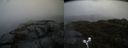 ./images/calvert/buxton2/20190406/buxton220190406_164957M.jpg