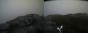 ./images/calvert/buxton2/20190406/buxton220190406_173957M.jpg