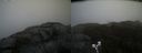 ./images/calvert/buxton2/20190406/buxton220190406_174957M.jpg