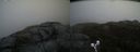 ./images/calvert/buxton2/20190406/buxton220190406_181458M.jpg