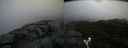 ./images/calvert/buxton2/20190406/buxton220190406_191458M.jpg