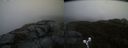 ./images/calvert/buxton2/20190406/buxton220190406_191957M.jpg