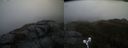 ./images/calvert/buxton2/20190406/buxton220190406_192957M.jpg