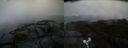 ./images/calvert/buxton2/20190407/buxton220190407_095457M.jpg