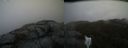 ./images/calvert/buxton2/20190409/buxton220190409_164957M.jpg
