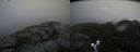 ./images/calvert/buxton2/20190409/buxton220190409_174457M.jpg