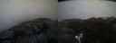 ./images/calvert/buxton2/20190409/buxton220190409_180957M.jpg