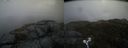 ./images/calvert/buxton2/20190409/buxton220190409_181457M.jpg