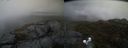 ./images/calvert/buxton2/20190409/buxton220190409_183457M.jpg
