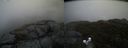 ./images/calvert/buxton2/20190409/buxton220190409_184457M.jpg