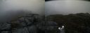 ./images/calvert/buxton2/20190409/buxton220190409_191457M.jpg